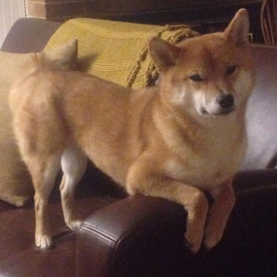 开云下载网址-_球星慈善赛：比赛中传递善意与希望_，明星慈善球赛