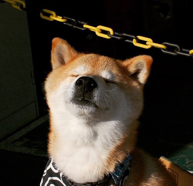 国际冠军挑战赛：冠军为荣耀而战，国际冠军杯赛制