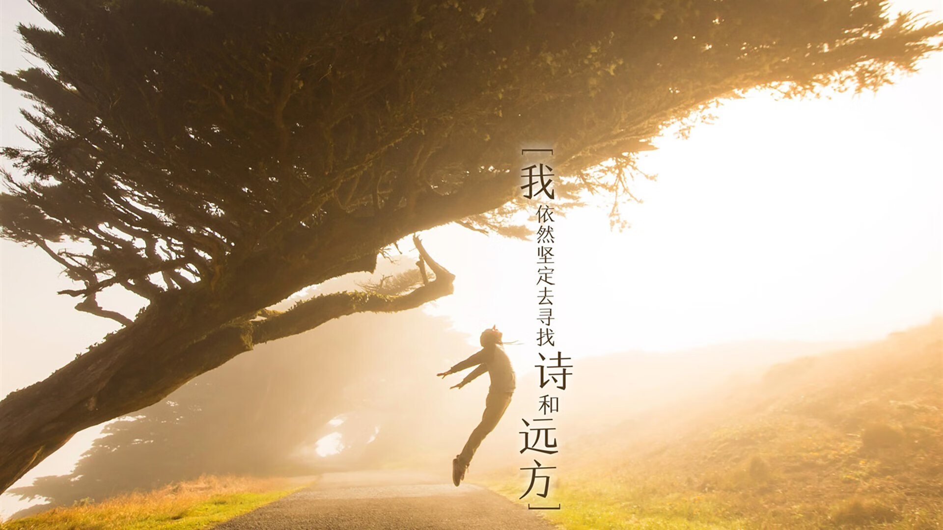 数字经济助推特色篮球产业链升级，打造国家体育新名片，数字经济与体育产业