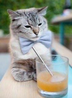 数字青训平台正式上线,实现青少年训练全流程监控,数字青少年宫在线登录