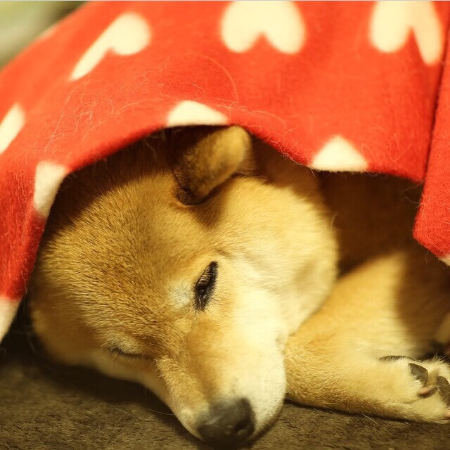 kaiyun体育-未来“欧洲天王”候补：谁能成为下一代领袖？，欧洲未来预测