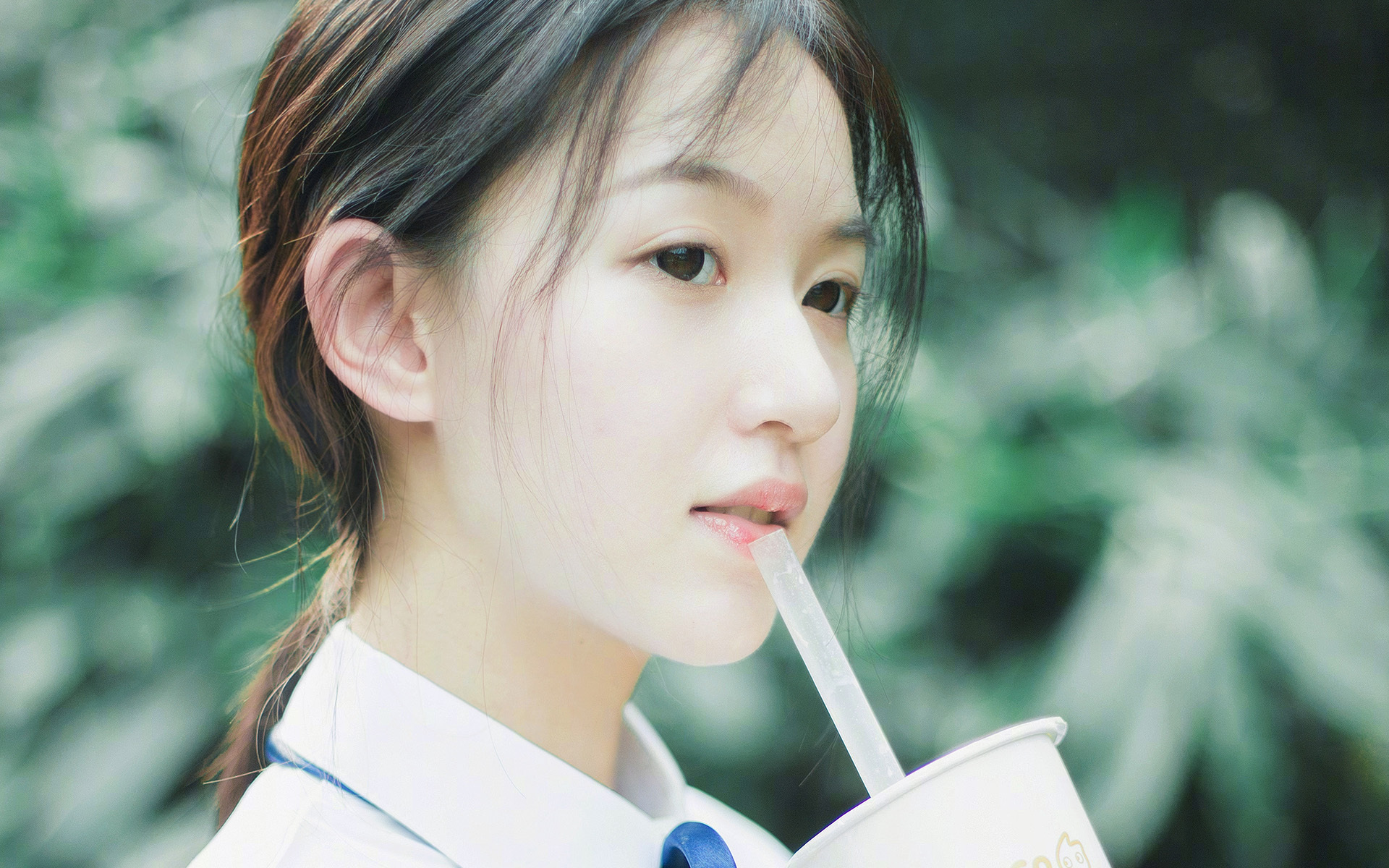 开云体育官网-曾经的冠军之师：那些年辉煌的俱乐部回忆，冠军的球队是哪支球队