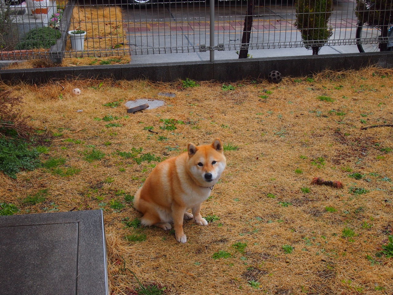 西甲多支传统豪门全力备战，迎战未来挑战，豪门三强挥金如土,赚足流量的西甲联赛迎来新伙伴