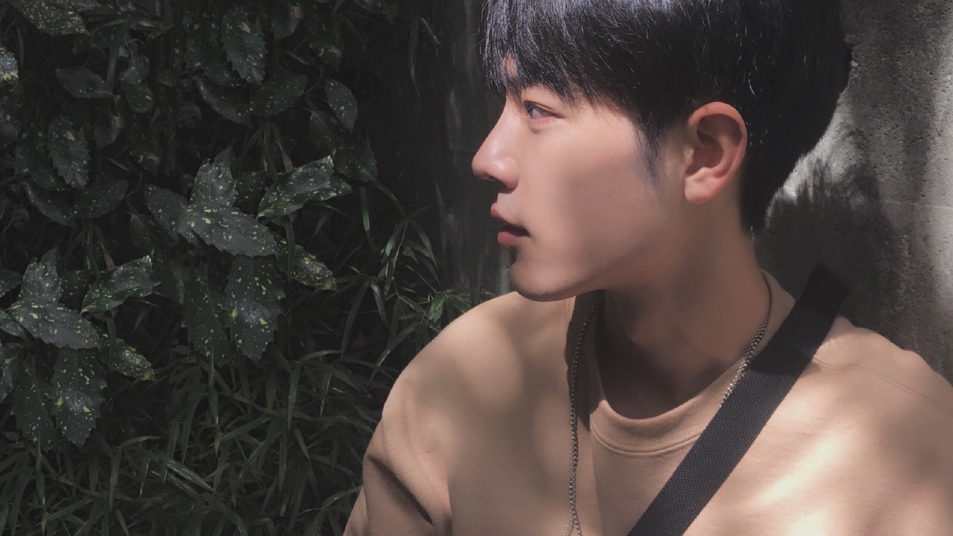 DOTA 2官方赛事规则更新,dota2所有比赛