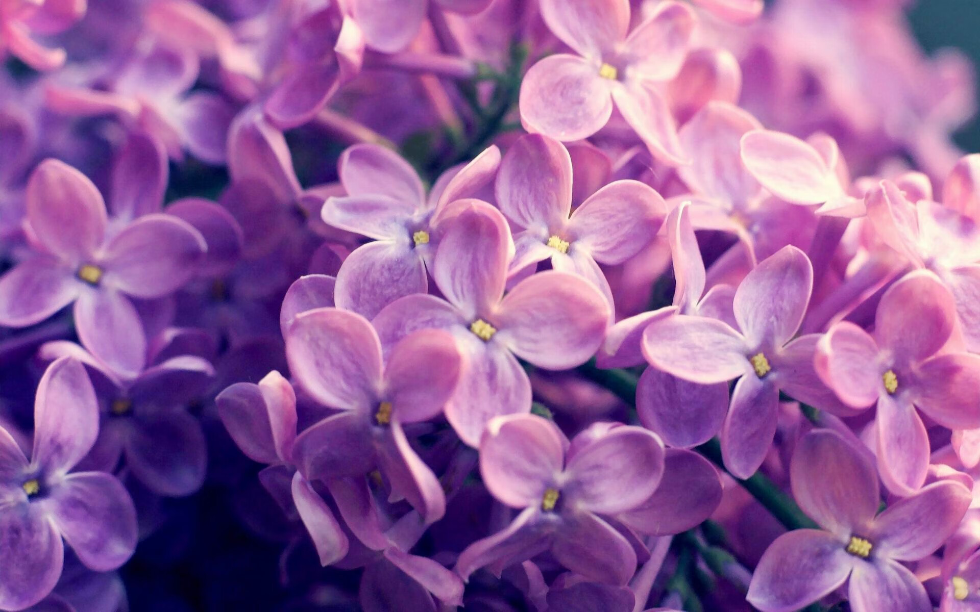 堡垒之夜获评年度影响力游戏,堡垒之夜最新联动