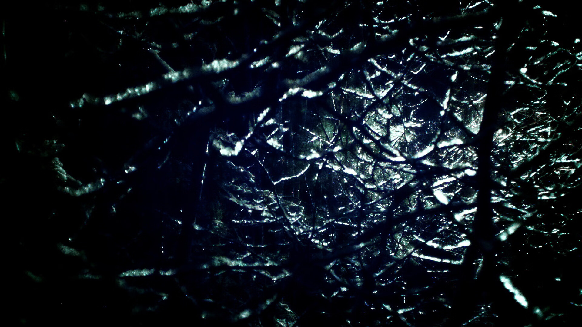 韩选手星际争霸世界赛夺冠,星际争霸韩国选手排名