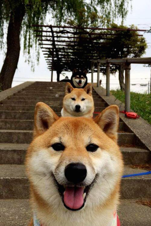 篮球运动员竞技心理韧性提升策略探讨,篮球运动员的心理选材