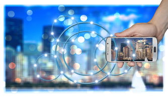 kaiyun.com-高校运动训练科学化管理策略研究，高校运动训练科学化管理策略研究论文