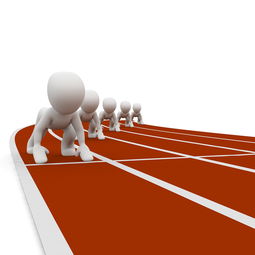 开云体育在线-全运会筹备工作进入冲刺阶段，全运会备战方案