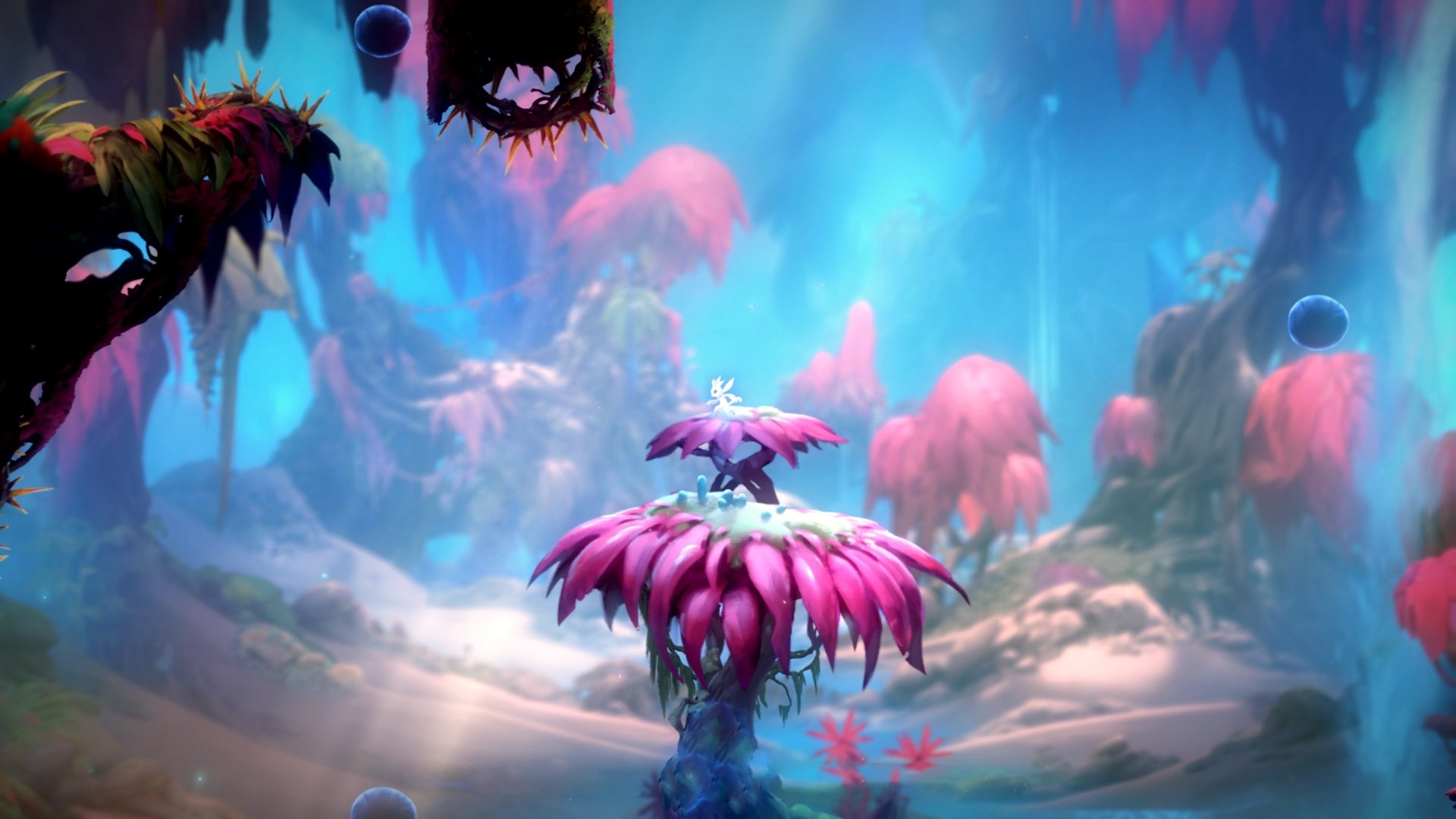 开云体育平台-德国队的赛制适应：国际乒联混合团体世界杯中如何应对新挑战，德国乒乓球甲级联赛