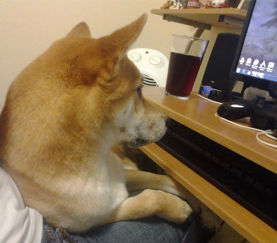 开云下载网址-辽宁飞豹双塔组合在内线形成绝对优势，辽宁飞豹吧 百度贴吧