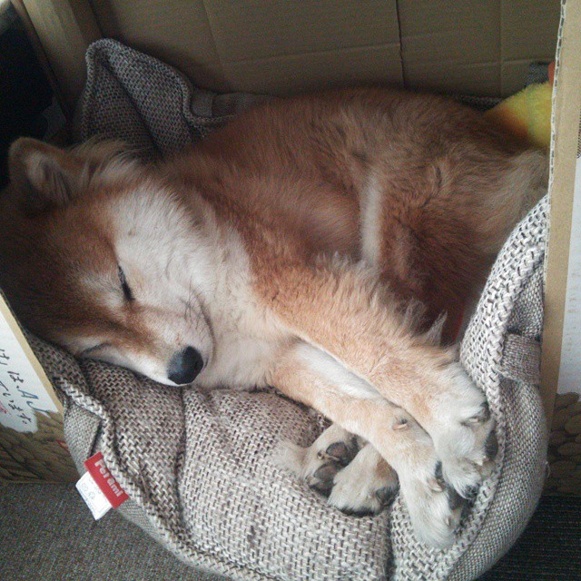 开云体育在线-希腊男篮在国际赛事中稳步前进，始终雄心未减