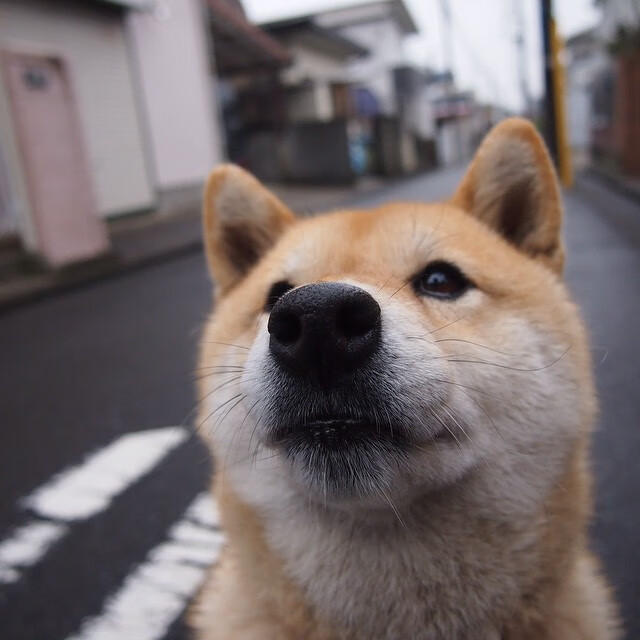 kaiyun-跳水稳定发挥波兰步入决赛圈，令人赏心悦目的波兰女运动员 室外田径赛跳远