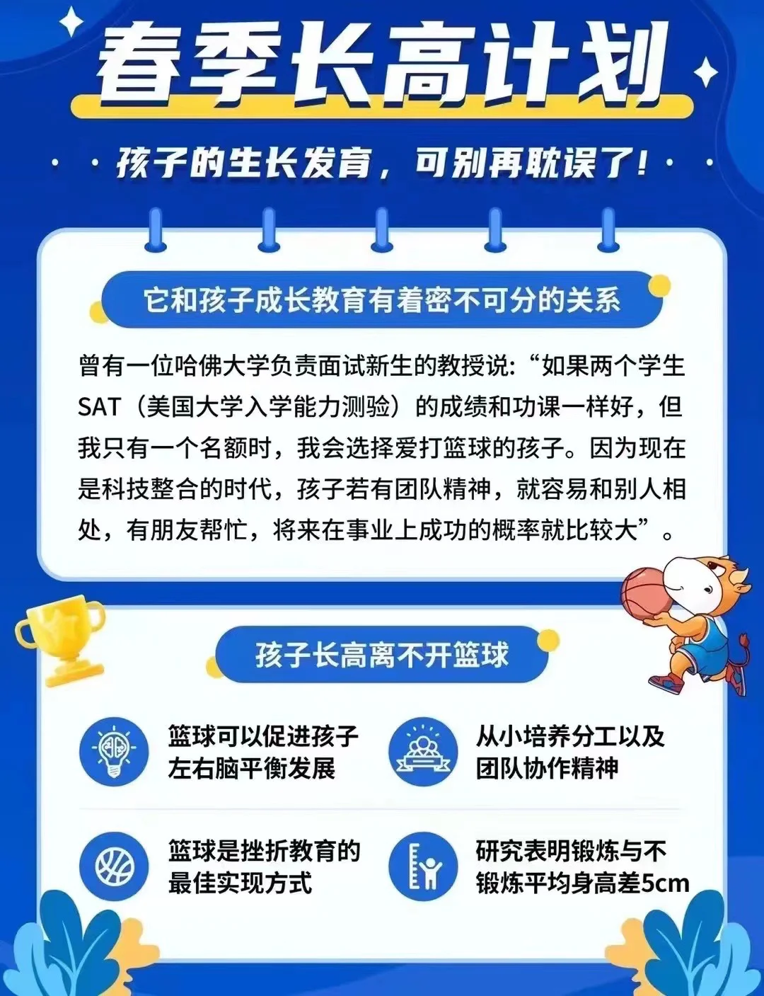 青少年篮球选手的培养与发展路径 青少年篮球选手的培养与发展路径